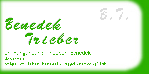 benedek trieber business card